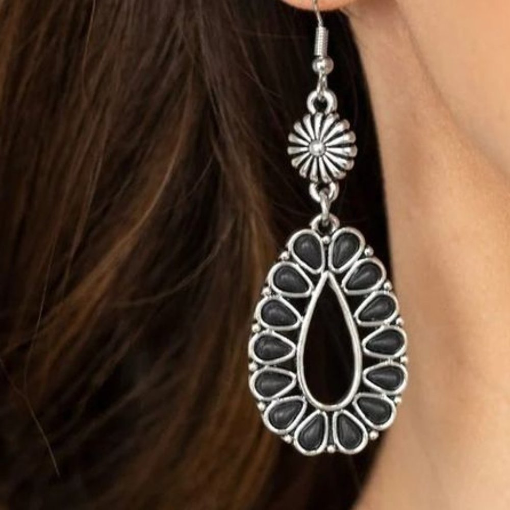 Earrings, Silver, Black stones